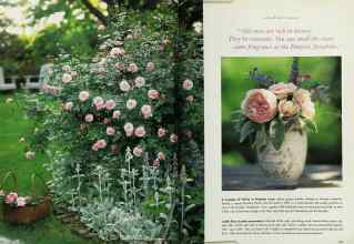 Better Homes & Gardens April 1996 Magazine Article: Page 156