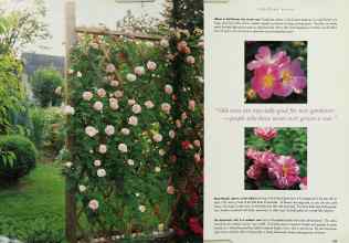 Better Homes & Gardens April 1996 Magazine Article: Page 158