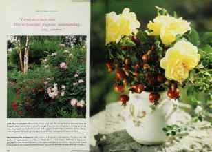 Better Homes & Gardens April 1996 Magazine Article: Page 162