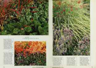 Better Homes & Gardens April 1996 Magazine Article: Page 170