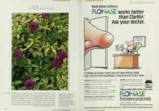 Better Homes & Gardens April 1996 Magazine Article: Page 172
