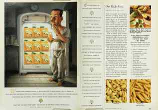 Better Homes & Gardens April 1996 Magazine Article: Page 230