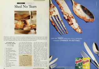 Better Homes & Gardens April 1996 Magazine Article: Page 260