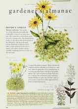 Better Homes & Gardens May 1996 Magazine Article: EDITOR'S CHOICE