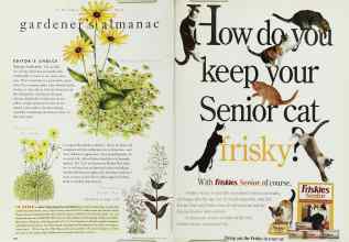 Better Homes & Gardens May 1996 Magazine Article: Page 132