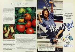 Better Homes & Gardens May 1996 Magazine Article: Page 142