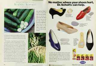 Better Homes & Gardens May 1996 Magazine Article: Page 144