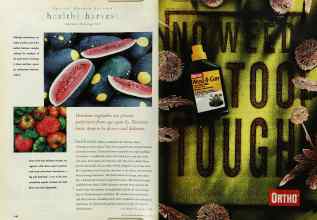 Better Homes & Gardens May 1996 Magazine Article: Page 146
