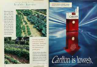 Better Homes & Gardens May 1996 Magazine Article: Page 152