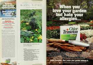 Better Homes & Gardens May 1996 Magazine Article: Page 156