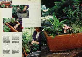 Better Homes & Gardens May 1996 Magazine Article: Page 162