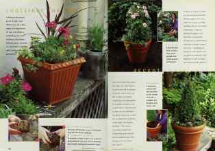 Better Homes & Gardens May 1996 Magazine Article: Page 164