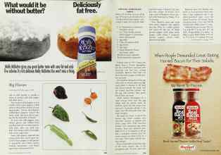 Better Homes & Gardens May 1996 Magazine Article: Page 248