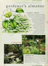 Better Homes & Gardens June 1996 Magazine Article: EDITOR'S CHOICE