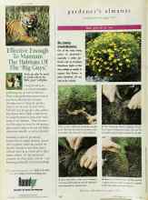 Better Homes & Gardens June 1996 Magazine Article: So many moonbeams