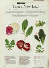 Better Homes & Gardens June 1996 Magazine Article: Turn a New Leaf