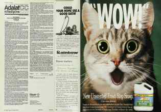 Better Homes & Gardens June 1996 Magazine Article: Page 86