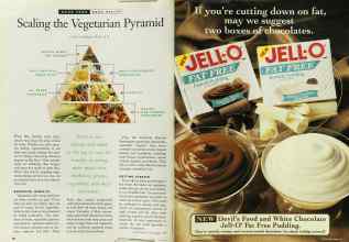 Better Homes & Gardens June 1996 Magazine Article: Page 96