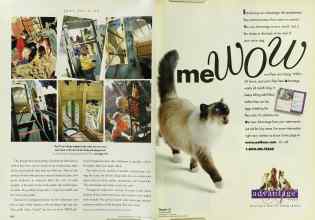 Better Homes & Gardens June 1996 Magazine Article: Page 104