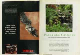 Better Homes & Gardens June 1996 Magazine Article: Page 114