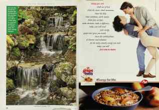 Better Homes & Gardens June 1996 Magazine Article: Page 126