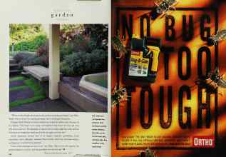 Better Homes & Gardens June 1996 Magazine Article: Page 148