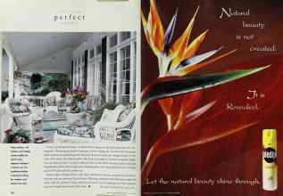 Better Homes & Gardens June 1996 Magazine Article: Page 156