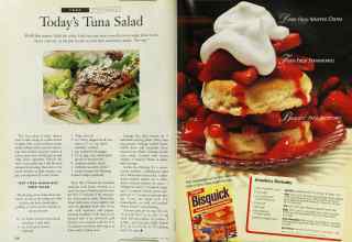 Better Homes & Gardens June 1996 Magazine Article: Page 218