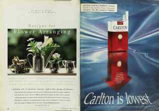 Better Homes & Gardens July 1996 Magazine Article: Page 30