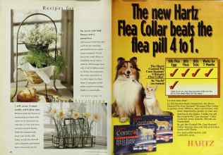 Better Homes & Gardens July 1996 Magazine Article: Page 32