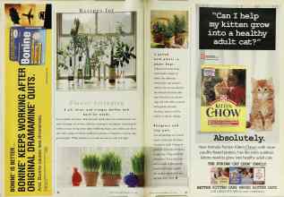 Better Homes & Gardens July 1996 Magazine Article: Page 36