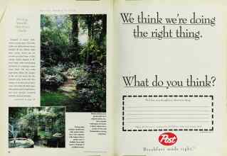 Better Homes & Gardens July 1996 Magazine Article: Page 82
