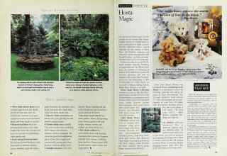 Better Homes & Gardens July 1996 Magazine Article: Page 84