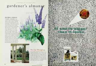 Better Homes & Gardens July 1996 Magazine Article: Page 88