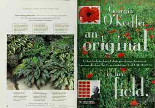 Better Homes & Gardens July 1996 Magazine Article: Page 96