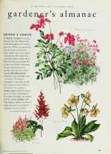 Better Homes & Gardens August 1996 Magazine Article: EDITOR'S CHOICE