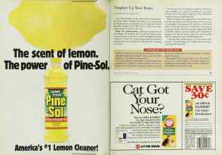 Better Homes & Gardens August 1996 Magazine Article: Page 64