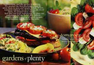 Better Homes & Gardens August 1996 Magazine Article: Page 138