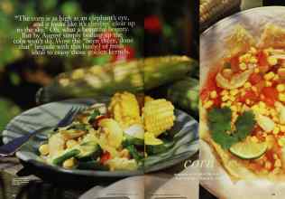 Better Homes & Gardens August 1996 Magazine Article: Page 142