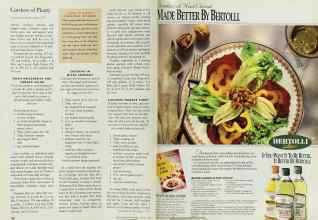 Better Homes & Gardens August 1996 Magazine Article: Page 150