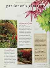 Better Homes & Gardens September 1996 Magazine Article: Recommended Japanese Maples