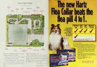 Better Homes & Gardens September 1996 Magazine Article: Page 100