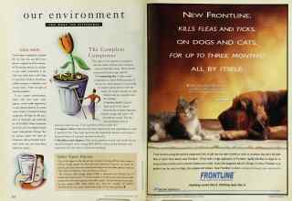Better Homes & Gardens September 1996 Magazine Article: Page 212