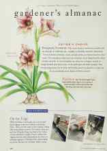 Better Homes & Gardens October 1996 Magazine Article: EDITOR'S CHOICE