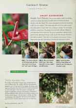 Better Homes & Gardens October 1996 Magazine Article: SMART GARDENING