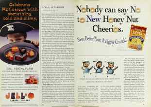 Better Homes & Gardens October 1996 Magazine Article: Page 40