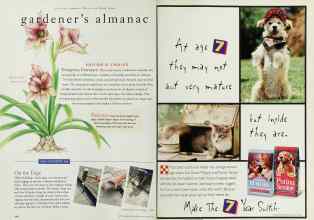 Better Homes & Gardens October 1996 Magazine Article: Page 114