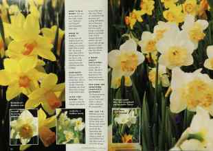 Better Homes & Gardens October 1996 Magazine Article: Page 122