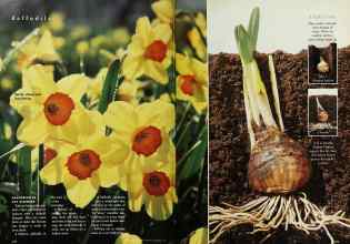 Better Homes & Gardens October 1996 Magazine Article: Page 124