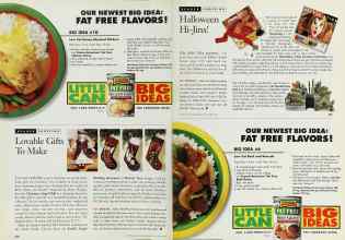 Better Homes & Gardens October 1996 Magazine Article: Page 234